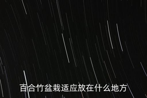 百合竹盆栽适应放在什么地方