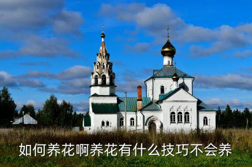 种花养花，在家怎么养花