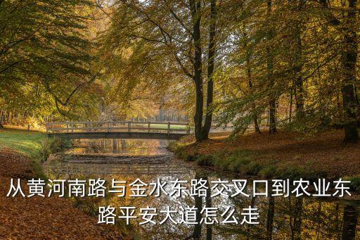 从黄河南路与金水东路交叉口到农业东路平安大道怎么走