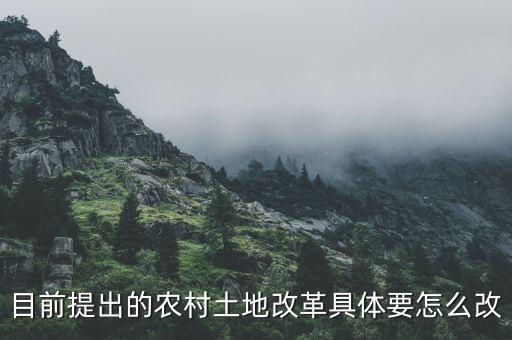 目前提出的农村土地改革具体要怎么改