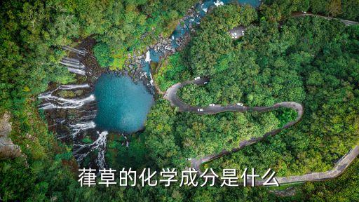 葎草的化学成分是什么
