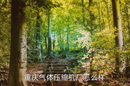 重庆气体压缩机厂怎么样