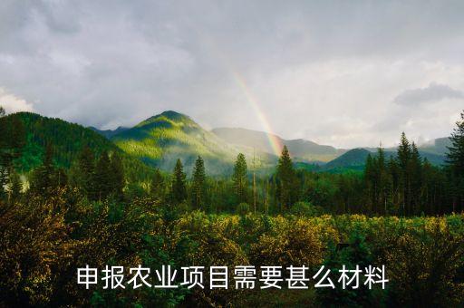 永嘉县农业项目怎么报，申报农业项目需要甚么材料