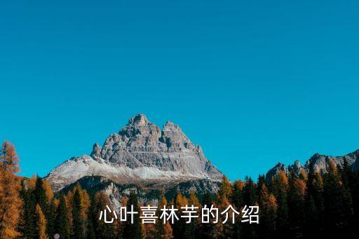 心叶喜林芋的介绍