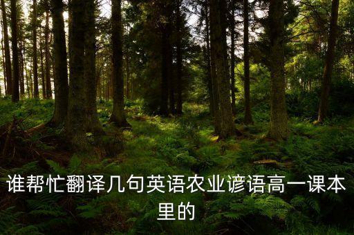 气氛中午农业英语怎么说，气氛用英语咋翻译