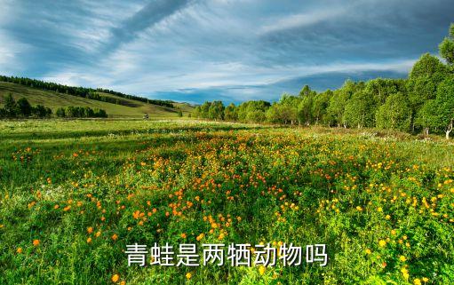 青蛙是两牺动物吗