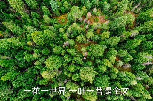 一花一世界 一叶一菩提全文