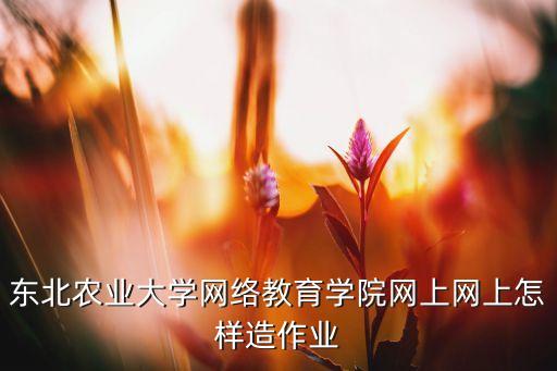 东北农业大学网络教育学院网上网上怎样造作业