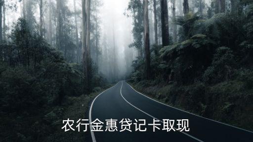 农行金惠贷记卡取现
