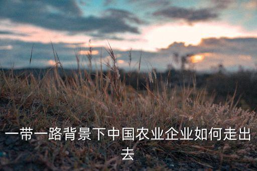 一带一路背景下中国农业企业如何走出去