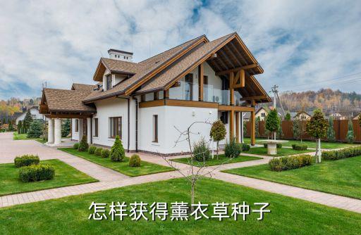 薰衣草种子，如何获得薰衣草种子
