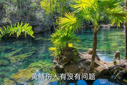 黄鳝咬人吗，黄鳝伤人有没有问题