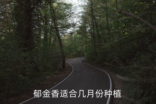 郁金香种植时间，什么季节种郁金香