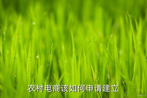 农业电商创业条件怎么写，电商创业需要具备哪些条件