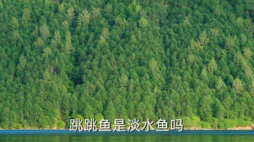 跳跳鱼，跳跳鱼的学名是