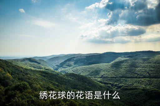 绣花球的花语是什么