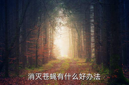 灭苍蝇的最好方法，用什么方法灭苍蝇最好最快
