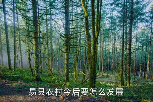 易县农村今后要怎么发展