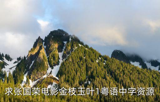 求张国荣电影金枝玉叶1粤语中字资源