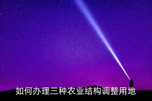 如何办理三种农业结构调整用地
