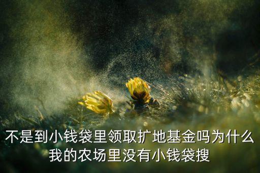 不是到小钱袋里领取扩地基金吗为什么我的农场里没有小钱袋搜