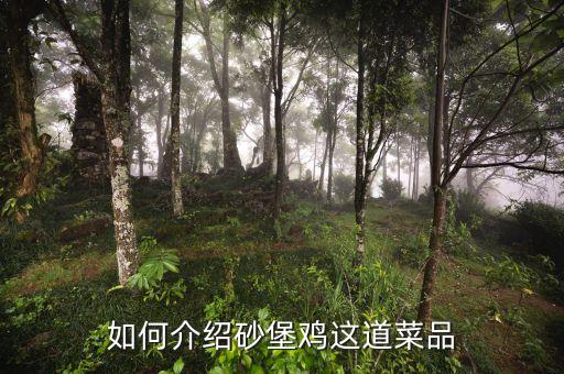 如何介绍砂堡鸡这道菜品