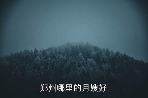 郑州哪里的月嫂好