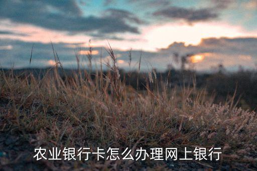 农业银行卡怎么办理网上银行