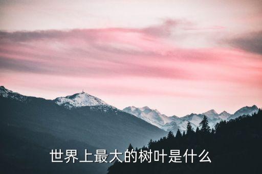 世界上最大的树叶是什么