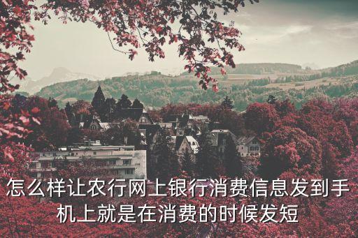 数字农业消费报告怎么做，怎么样让农行网上银行消费信息发到手机上就是在消费的时候发短