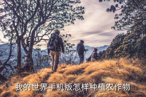 我的世界手机版怎样种植农作物