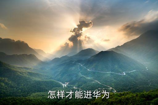 怎样才能进华为