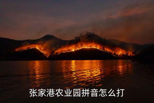 张家港农业园拼音怎么打