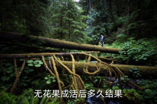 无花果成活后多久结果