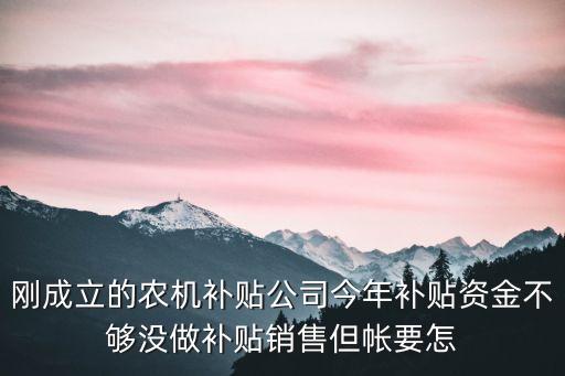 刚成立的农机补贴公司今年补贴资金不够没做补贴销售但帐要怎