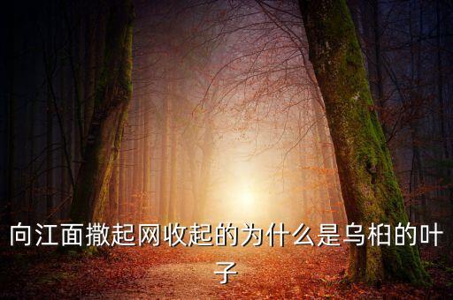 乌桕叶，向江面撒起网收起的为什么是乌桕的叶子