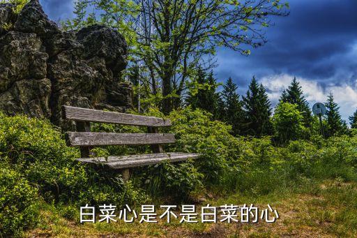 白菜心是不是白菜的心
