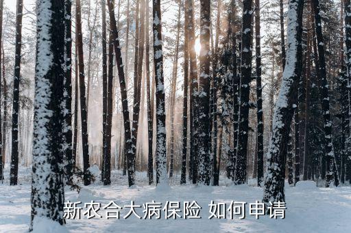 新农合大病保险 如何申请