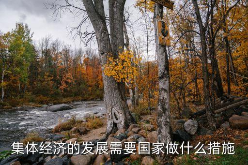 如何发展村级集体经济，怎么样去搞好村集体经济啊给点有力的建议