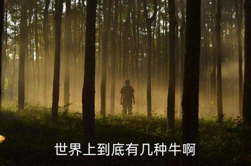 世界上到底有几种牛啊