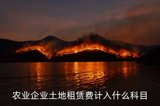 农业企业土地租赁费计入什么科目