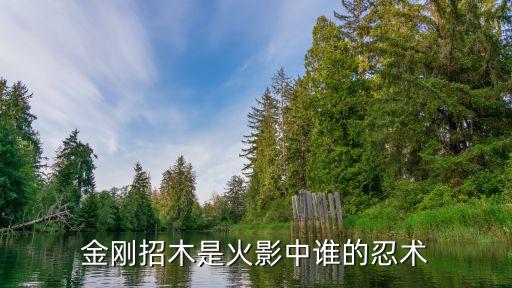 金刚木，金刚招木是火影中谁的忍术