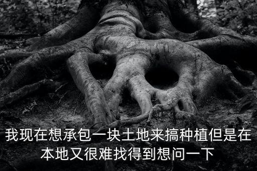 我现在想承包一块土地来搞种植但是在本地又很难找得到想问一下