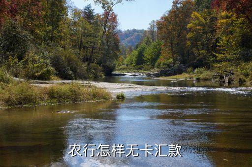 农业柜台无卡汇款怎么操作，农业银行卡怎么无卡转账