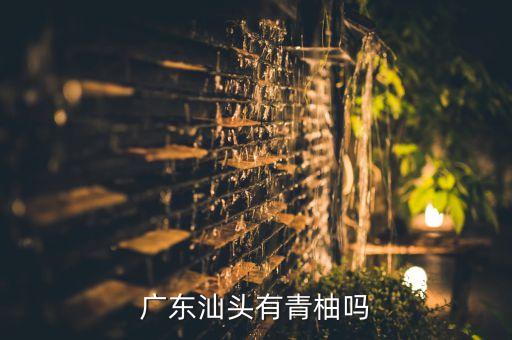 泰国青柚，可以从泰国进口水果吗