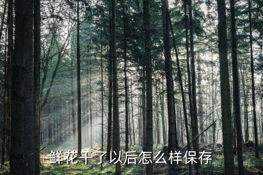 鲜花干了以后怎么样保存