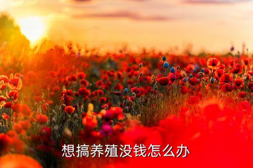 农业项目没有钱怎么办，想搞养殖没钱怎么办