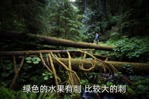 带刺的水果有哪些，绿色的水果有刺 比较大的刺