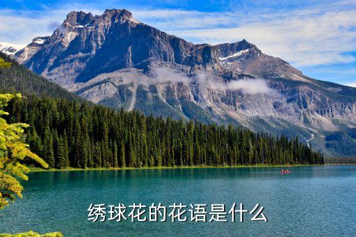 绣球花的花语是什么