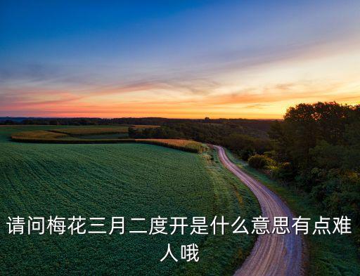 梅花二度开，请问梅花三月二度开是什么意思有点难吧